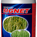 SIGNET NACL