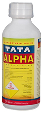 TATA ALPHA -  Alphacypermethrin 10% SC  ( TATA RALLIES )