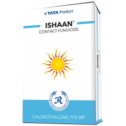 ISHAAN -  Chlorothalonil 75 %WPTATA RALLIES