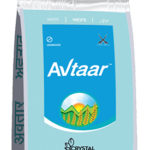 AVTAAR TM -  Clodinafop Propargyl 15% WP ( CRYSTAL )