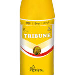 Tribune -  Buprofezin 25% SC ( CRYSTAL )