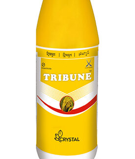 Tribune -  Buprofezin 25% SC ( CRYSTAL )