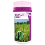 SIGALIT  ( ADAMA )