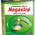 NAGASTRA - Pendimethalin 30% EC ( NACL )