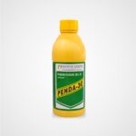 PENDA-30 ( pendimethalin 30%ec )