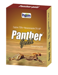 PANTHER GOLD (Captan 70% + Hexaconazole 5%WP)-HPM