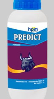 Predict( Azoxystrobin 11% + Tebuconazole 18.3% SC ) -HPM