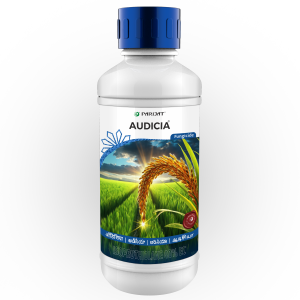 AUDICIA- (ISOPROTHIOLANE 40% EC)