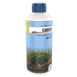 CARMI-(Thifluzamide 24% SC)