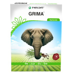 GRIMA - (Halosulfuron Methyl 75% WG)