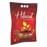 HIFAZAT