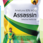 Assassin - ( Ametryine 80%WDG )
