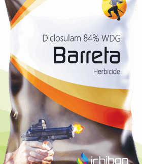 BARRETA - ( Diclosulam 84 % WDG )
