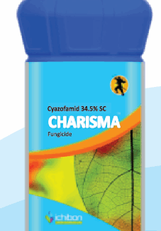 CHARISMA
