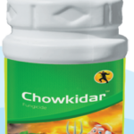 CHOWKIDAR - ( Pyraclostrobin 20% WG )