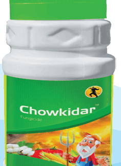CHOWKIDAR - ( Pyraclostrobin 20% WG )