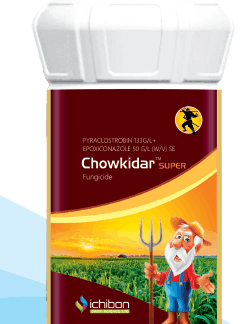 Chowkidar Super