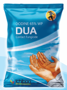 DUA - ( dodine 65 % wp )