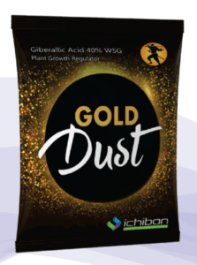 GOLD DUST - ( Gibberalic Acid 40%wsg )